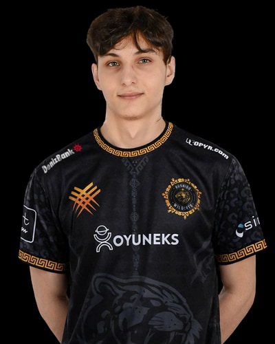 Vej