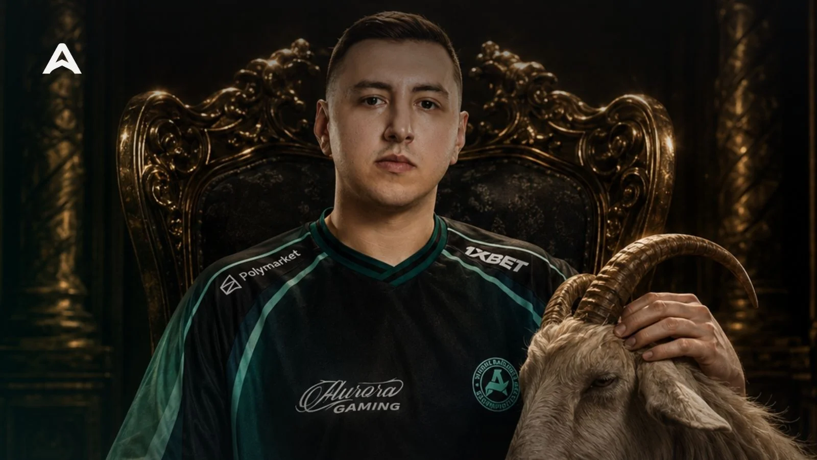 XANTARES, 31 Yaşında!